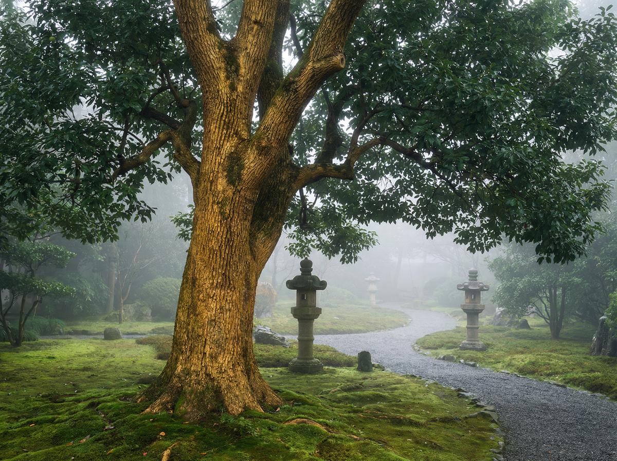 每日大赛楠木视频